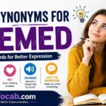 Synonyms for Seemed