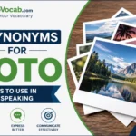 synonyms for photo