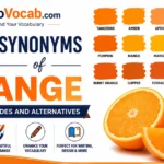 Synonyms of Orange