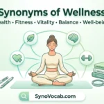 Synonyms of Wellness