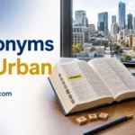 Synonyms for Urban