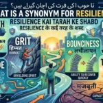 what is a synonym for resilience